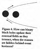 Figure 4: Binary Black Holes Updating External Fields